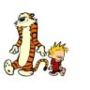 Meet your Posher, Avinash